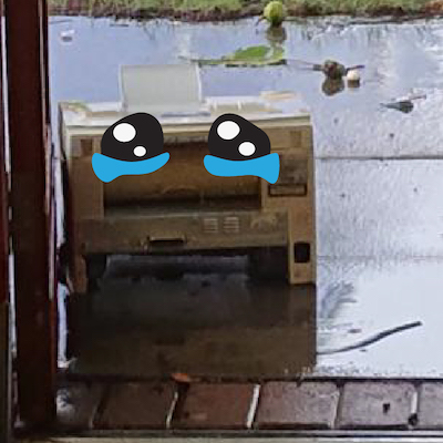 Picture of an evil, but sad printer in the rain